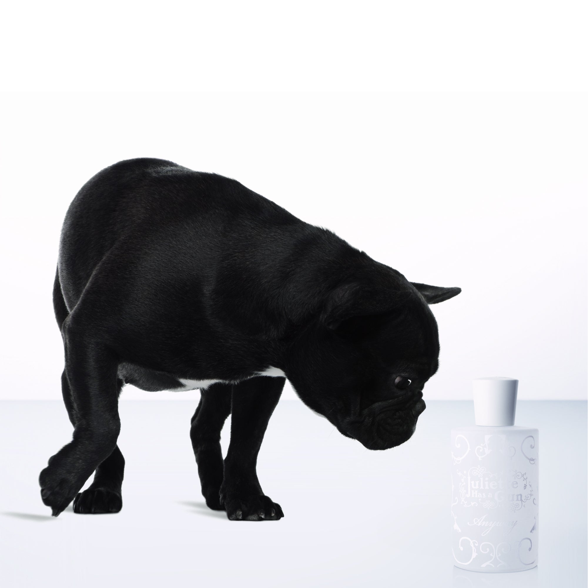 JULIETTE HAS A GUN EDP ANYWAY 100ML